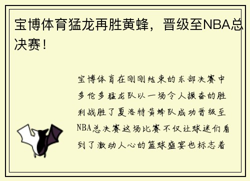 宝博体育猛龙再胜黄蜂，晋级至NBA总决赛！