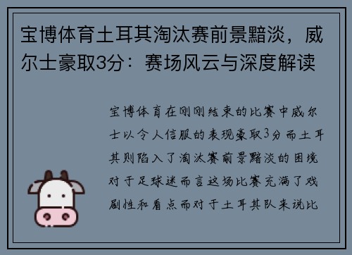 宝博体育土耳其淘汰赛前景黯淡，威尔士豪取3分：赛场风云与深度解读